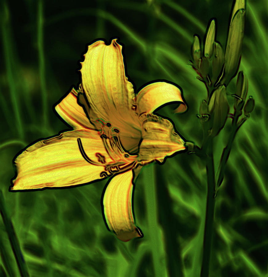 Yellow Lily 2  #1 Digital Art by Lyle Crump