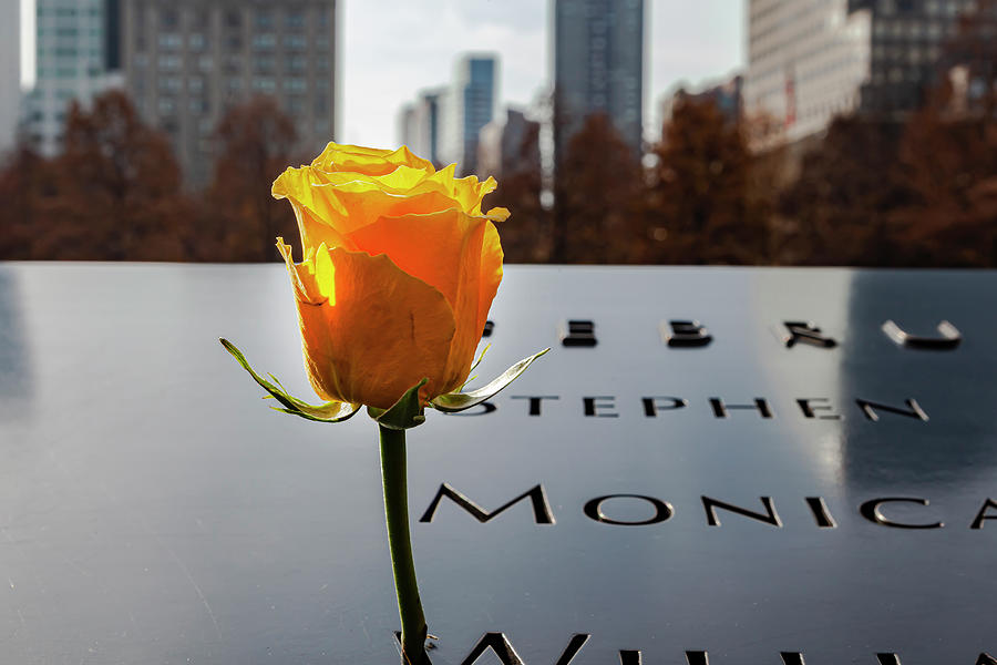 Yellow Rose World Trade Center Memorial NYC #1 Photograph by Robert Ullmann