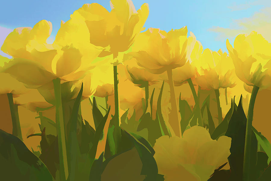 Yellow Tulips  #1 Digital Art by Steve Ladner