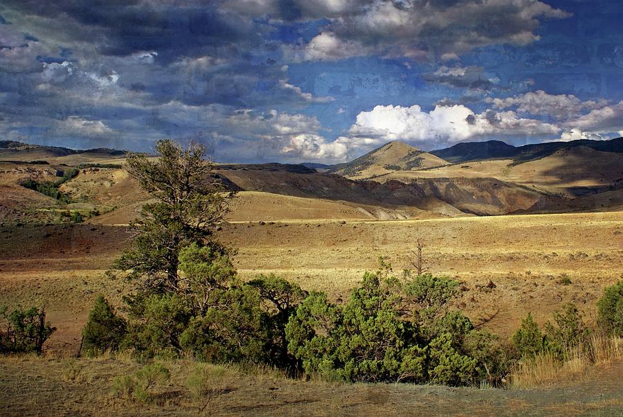 Yellowstone Landscape #1 Photograph by Marty Koch