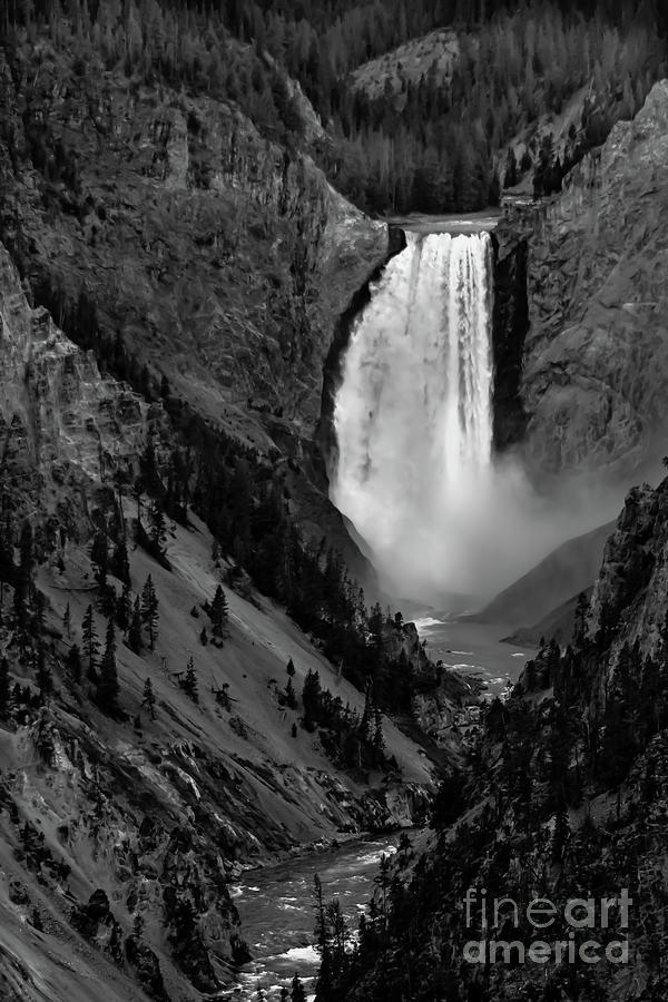 Yellowstone Lower  Falls   #2 Photograph by Robert Bales