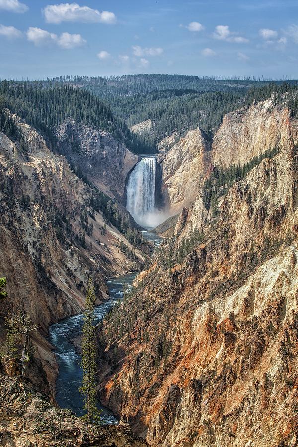 Yellowstone Lower Falls Photograph by Ronald Lutz