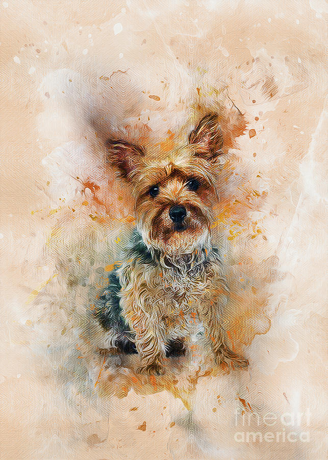 Yorkshire Terrier Art Digital Art