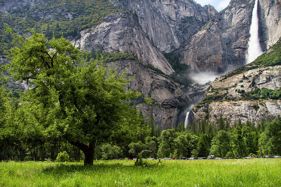 Yosemite Falls 3 Photograph