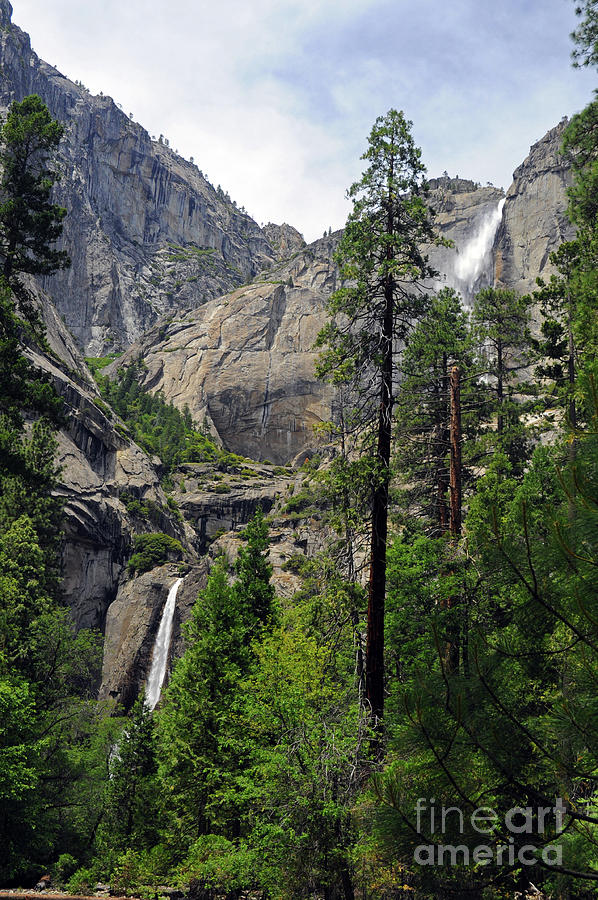 Yosemite Falls #1 Photograph by Cindy Murphy