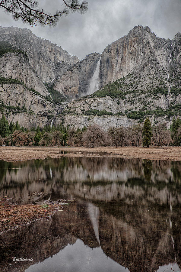 Yosemite National Park Photograph - Yosemite Falls Reflection #1 by Bill Roberts