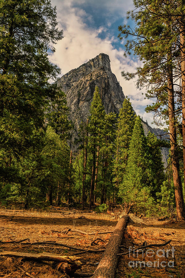 Yosemite National Park #2 Photograph by Abigail Diane Photography
