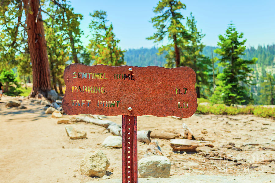 Yosemite Sentinel Dome road sign #1 Photograph by Benny Marty