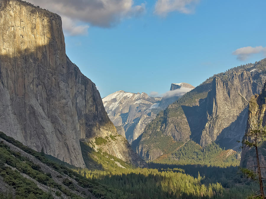 Yosemite #1 Photograph by Steven Lapkin