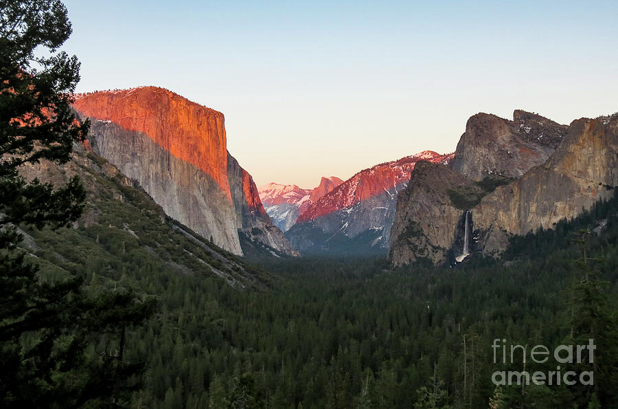 Yosemite Valley #1 Photograph by Erin Marie Davis