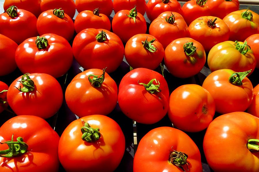 You Say Tomato I Say Tomato Photograph By Kenneth Summers