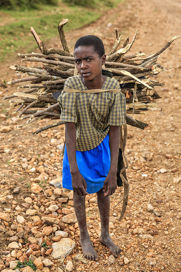 Young African girl carrying brushwood, southern Kenya, East Africa #1 Photograph by Hadynyah