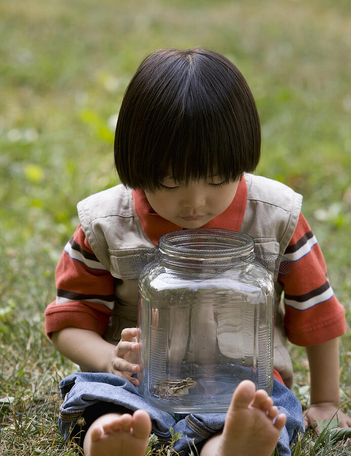 Young Asian Boy Looking at Frog in Jar #1 Photograph by Ariel Skelley