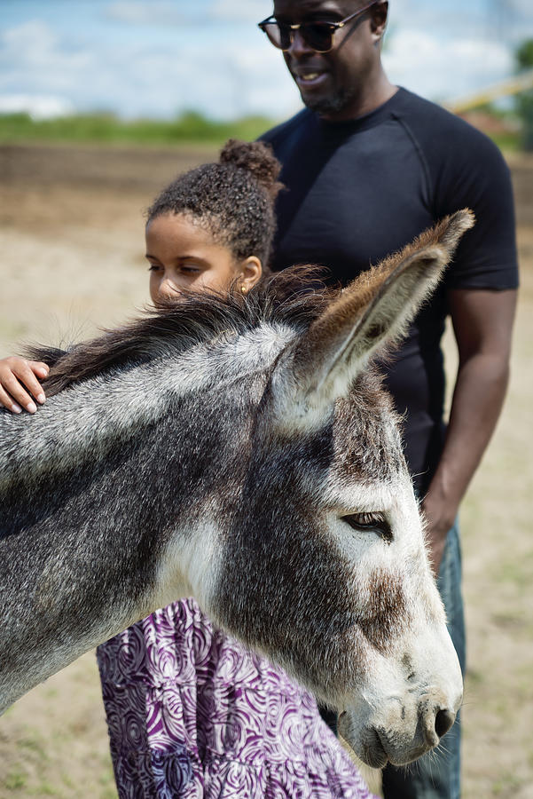 Young girl with autism connecting with donkeys in a special center. #1 Photograph by Martinedoucet
