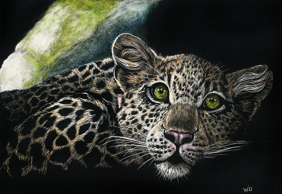 Young Leopard Drawing by William Underwood