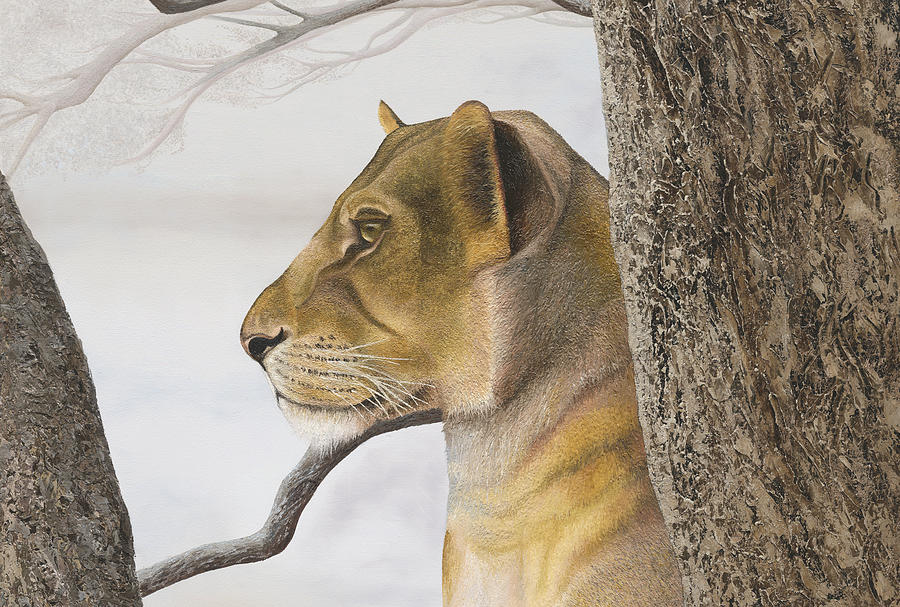 Young lion in tree #2 Painting by Russell Hinckley