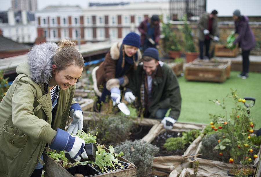 Young people working in urban roof garden. #1 Photograph by Mike Harrington