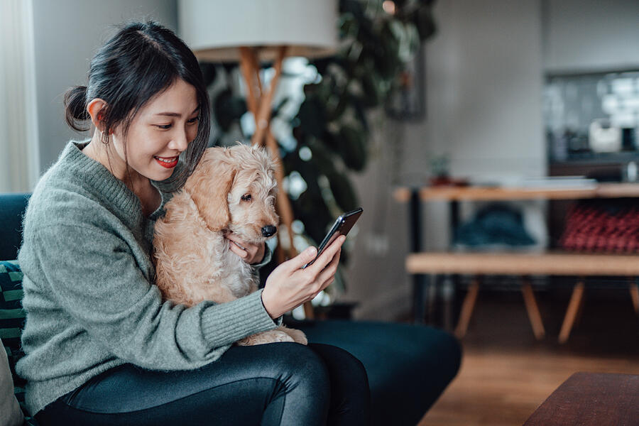 Young Woman Taking Selfie With Her Dog With Smartphone #1 Photograph by Oscar Wong