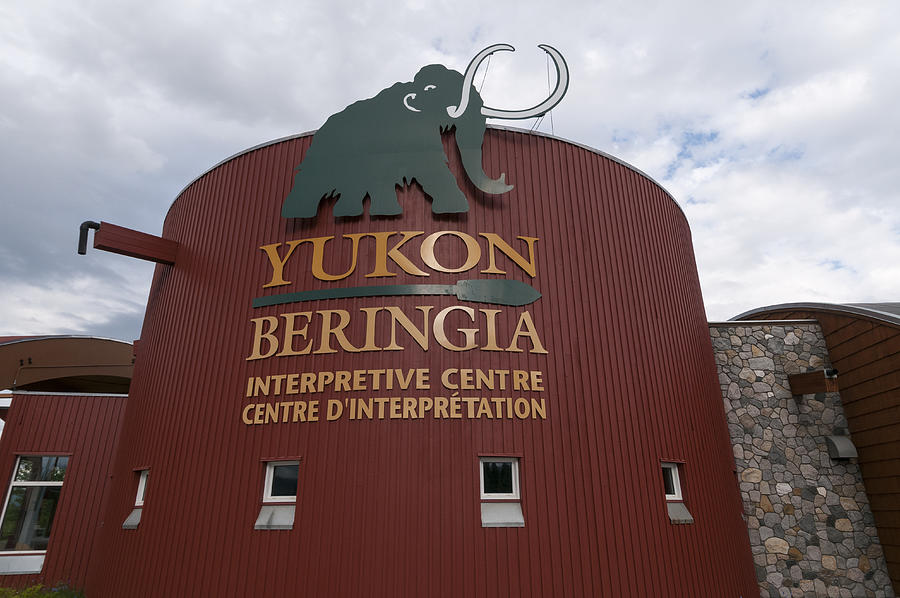 Yukon Beringia Interpretive Center #1 Photograph by John Elk III