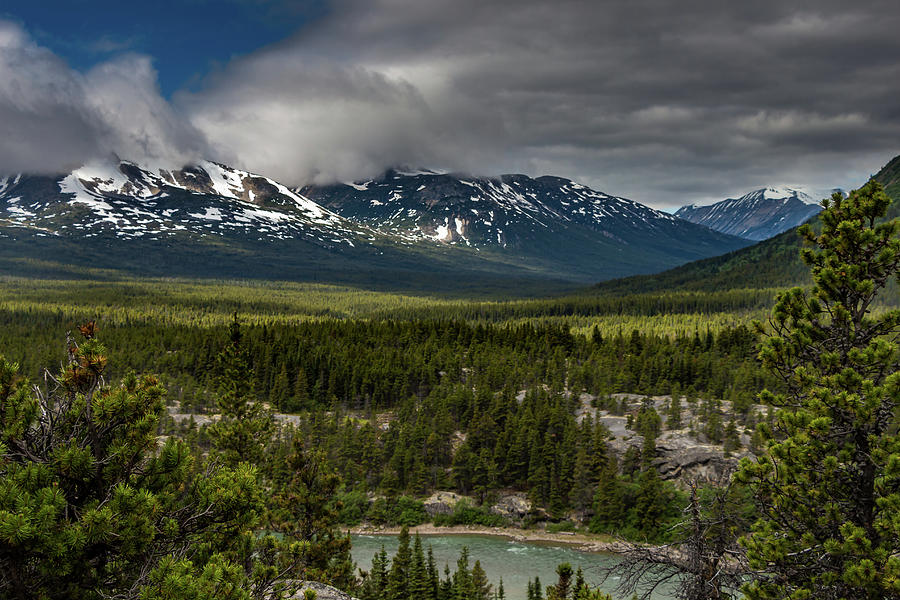 Yukon Wilderness #2 Photograph by Ed Clark