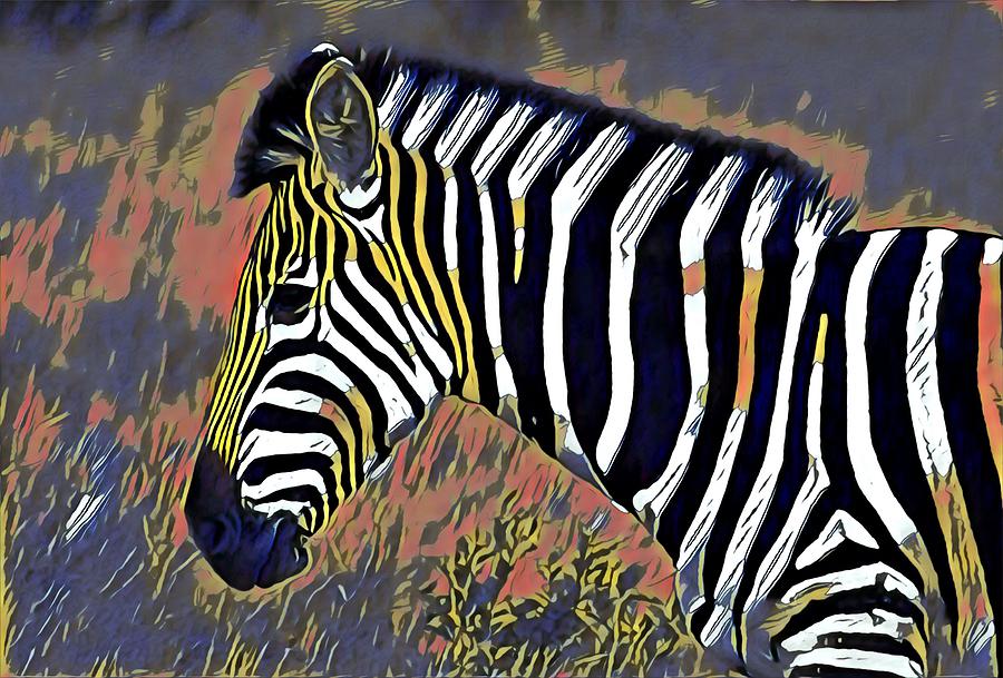 Zebra  #1 Photograph by Gini Moore