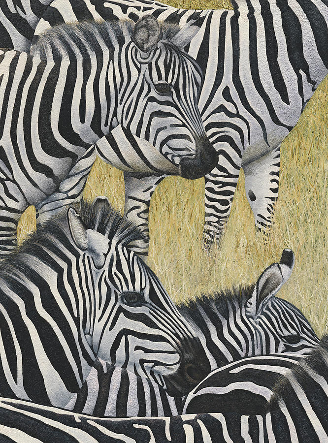 Zebras #2 Painting by Russell Hinckley
