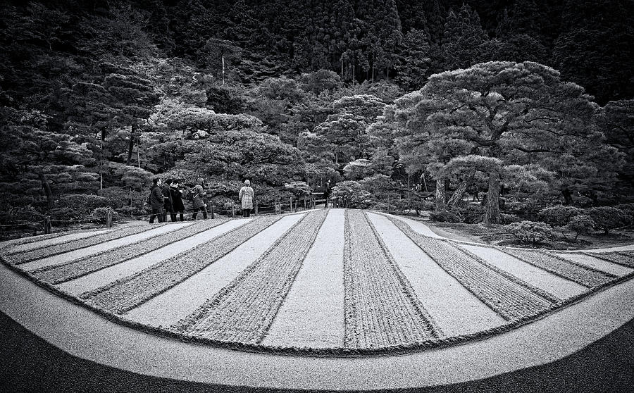 Black And White Photograph - Zen Garden #1 by Wayne Sherriff