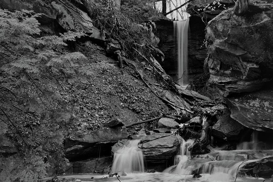 Zen Waterfall in the Spring #1 Photograph by Brad Nellis