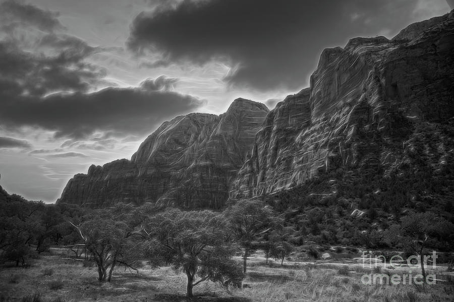 Zion National Park Black White  #1 Photograph by Chuck Kuhn
