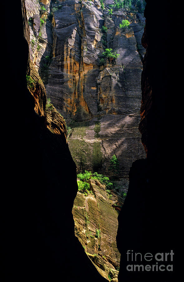 Zion National Park Canyon Walls  #1 Photograph by Jim Corwin