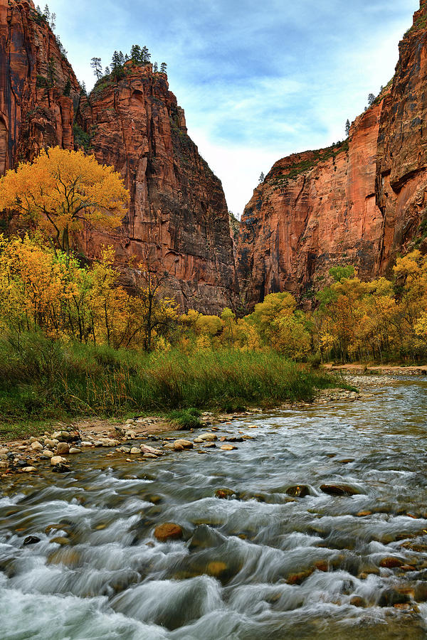 Zion National Park River Walk 8 Photograph by Dean Hueber - Fine Art ...