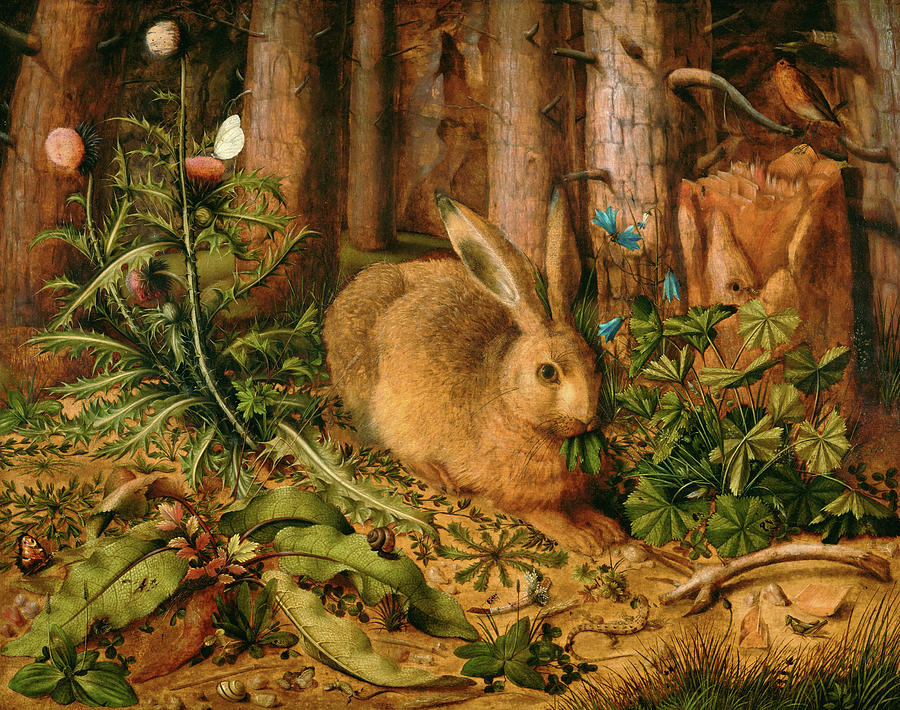 Wildlife Painting - A Hare in the Forest #10 by Hans Hoffmann
