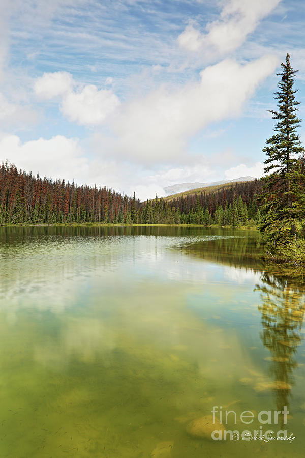 Banff and Jasper National Park #10 Photograph by Steve Javorsky