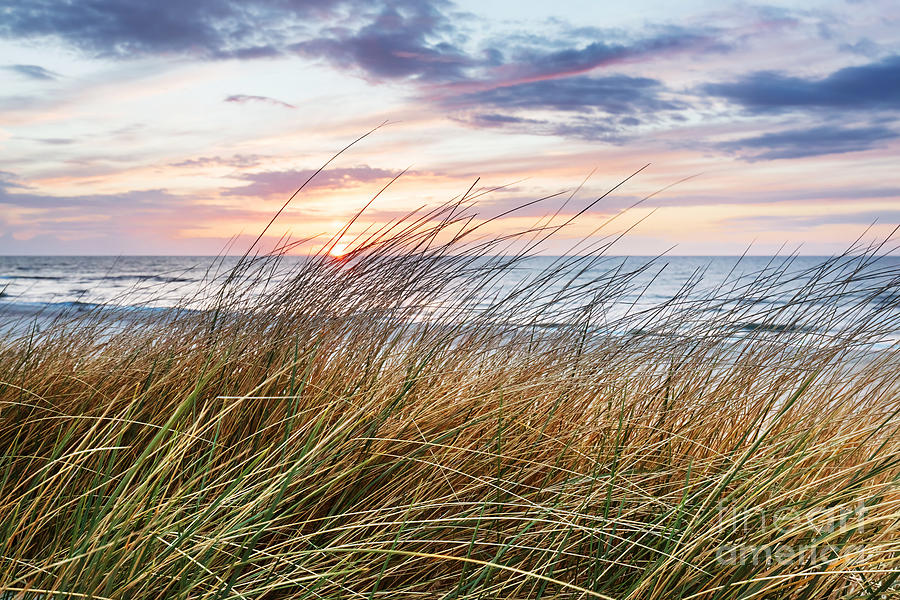 Beach grass on dune, Baltic sea at sunset #10 Photograph by Michal Bednarek