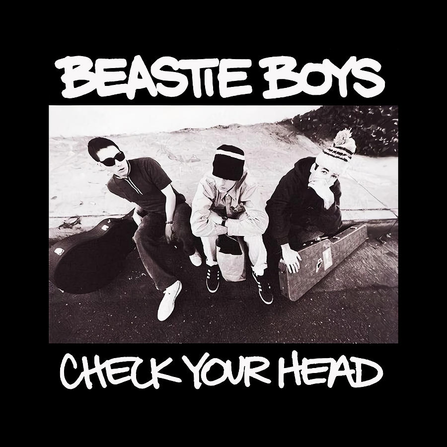 Music Drawing - Beastie Boys #10 by Mina Wati