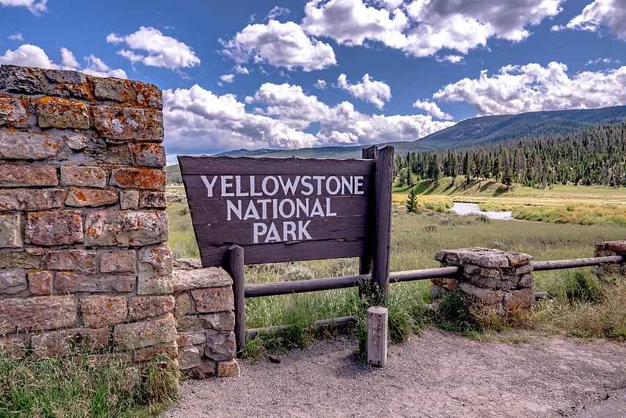 Beautiful Nature Scenes Along Yellostone River In Wyoming #10 Photograph by Alex Grichenko