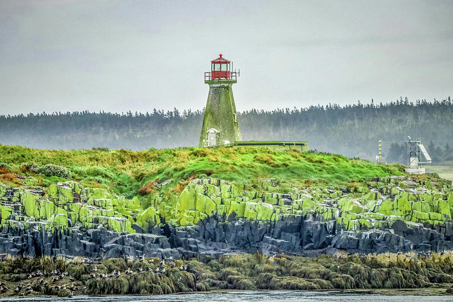 Brier Island Nova Scotia Canada #10 Photograph by Paul James Bannerman