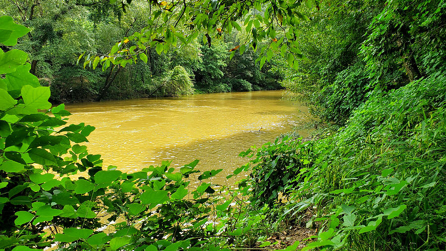 Cahaba River Walk Park #10 Photograph by Kenny Glover