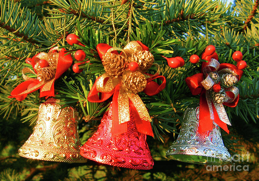 Christmas decorations  #10 Photograph by Irina Afonskaya