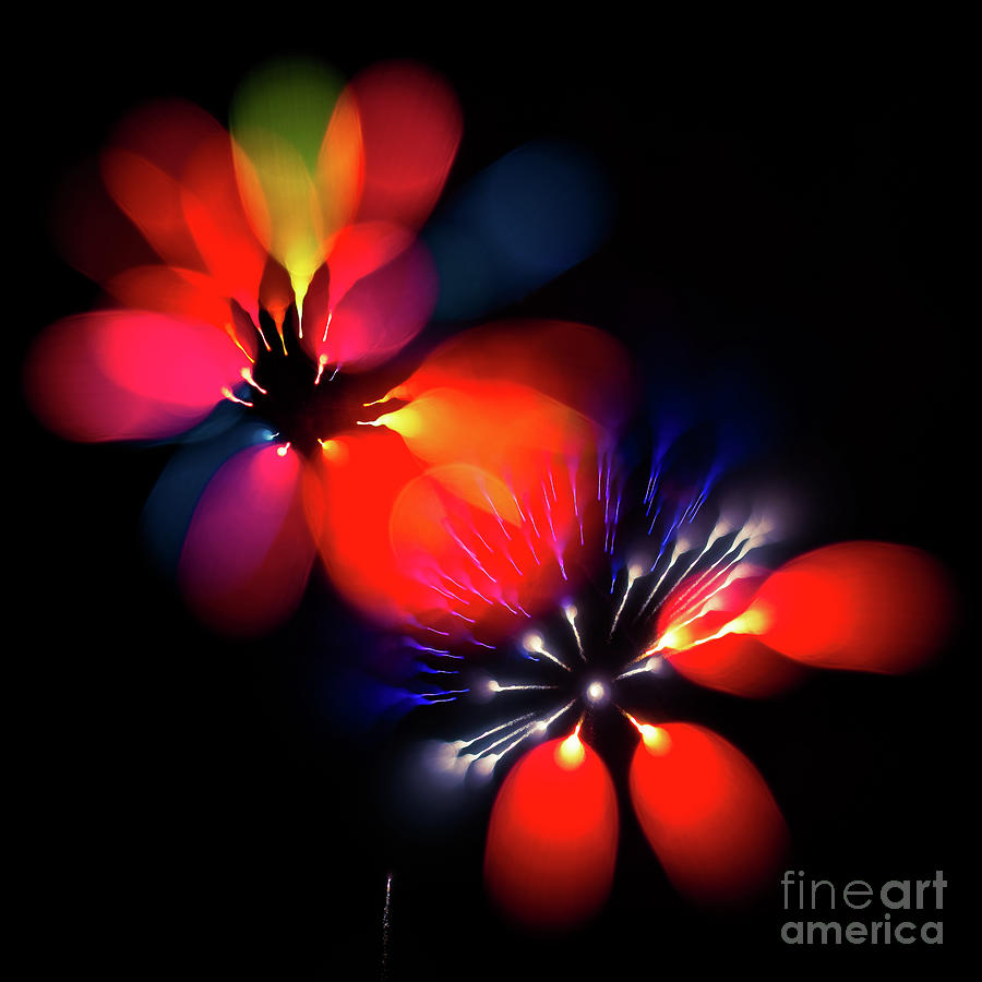 Fireworks Photograph by Doug Sturgess