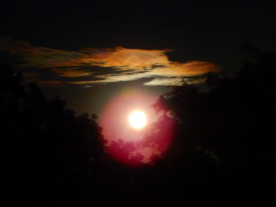 Full Moon Rising #10 Photograph by Virginia White