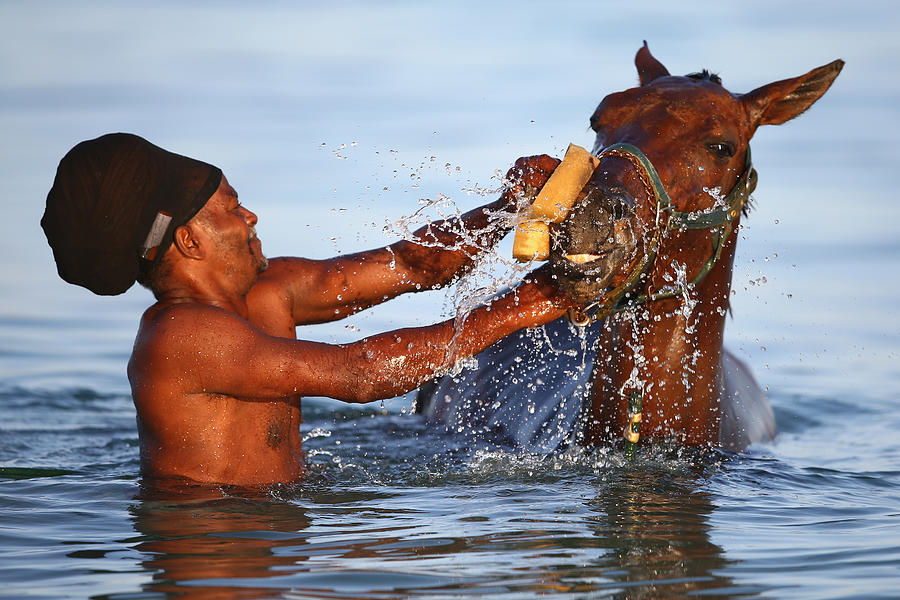 Horse Racing in Bridgetown #10 Photograph by Michael Steele