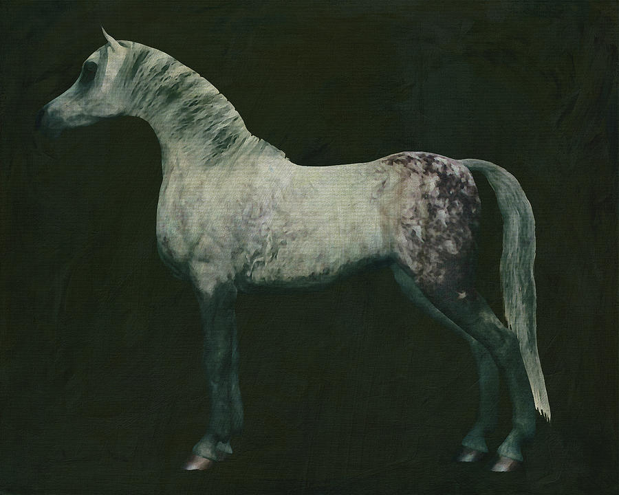 Horses -White horse doing dressage exercise #10 Painting by Jan Keteleer