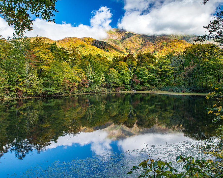 Japan autumn scenery #10 Photograph by I love Photo and Apple.