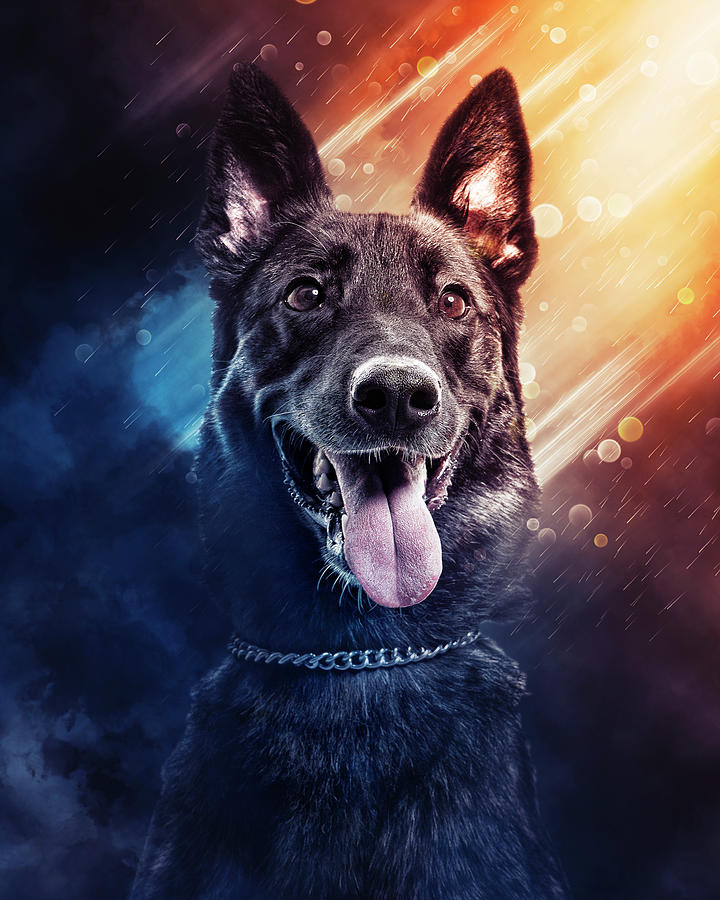 K9 Ivy - Sterling Heights PD #10 Digital Art by Lifework Productions
