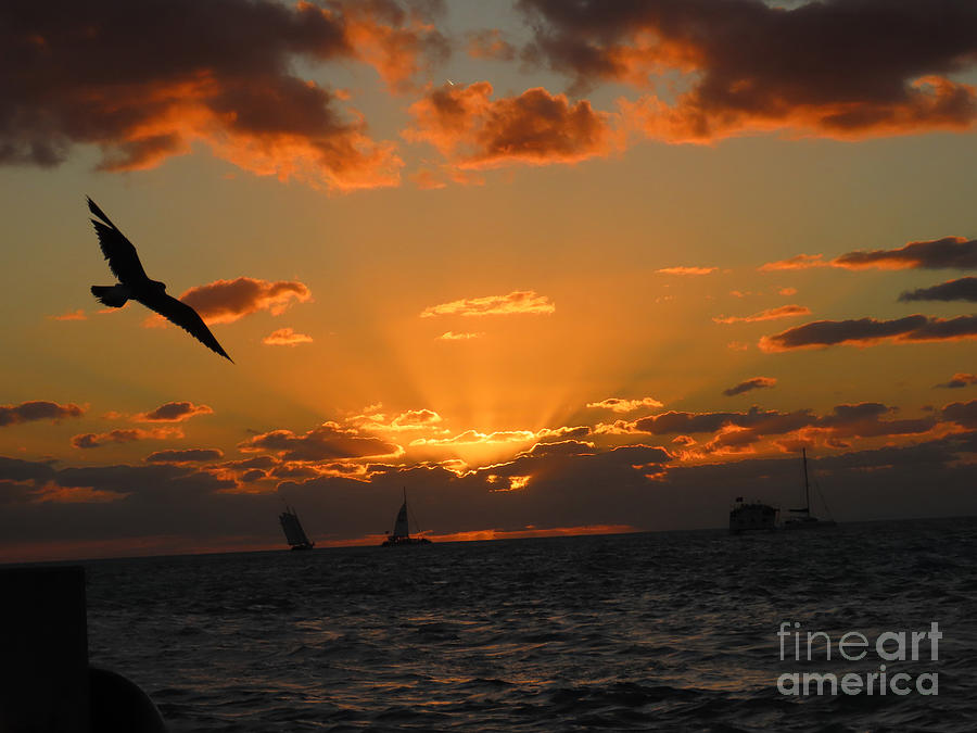Key West Sunset #10 Photograph by Steven Spak