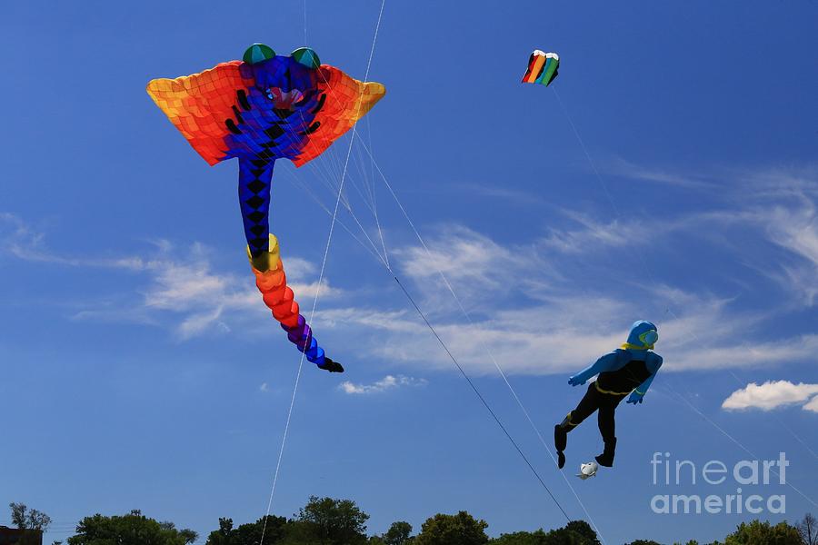 Kite In The Blue Sky Photograph