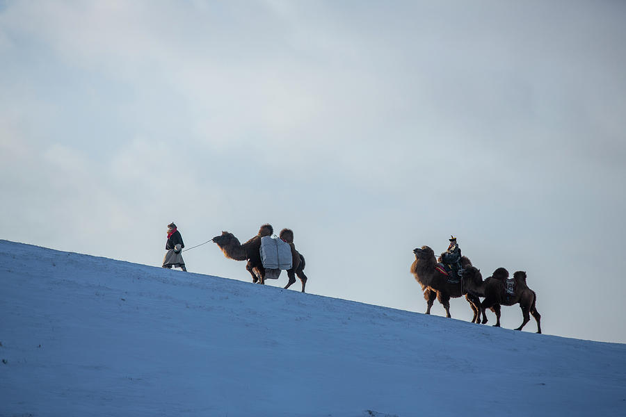 Life of Countryside #10 Photograph by Bat-Erdene Baasansuren