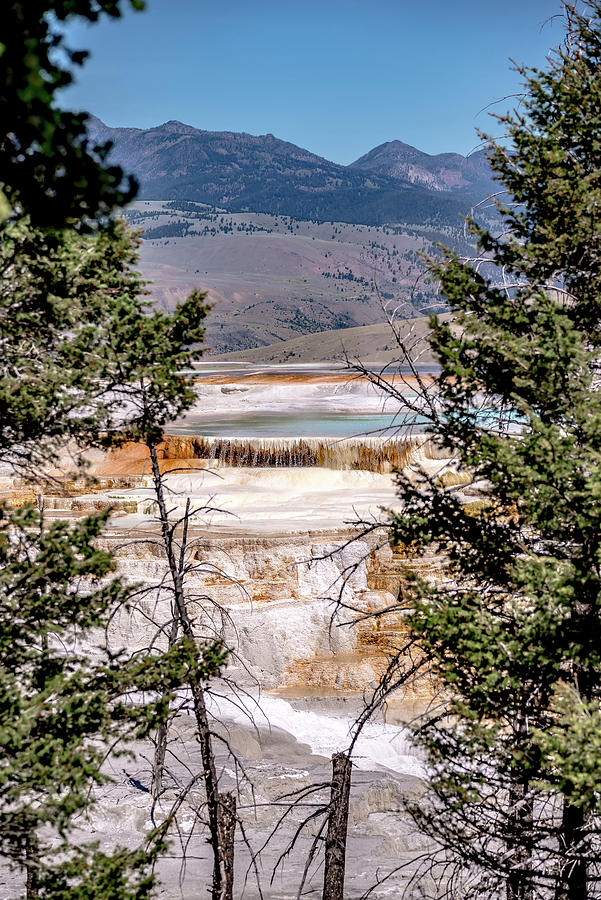 Mammoth Hot Springs in Yellowstone National Park. USA #10 Photograph by Alex Grichenko