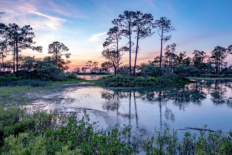 Nature Landscape Scenes Around Hunting Island State Park In Sout #10 Photograph by Alex Grichenko